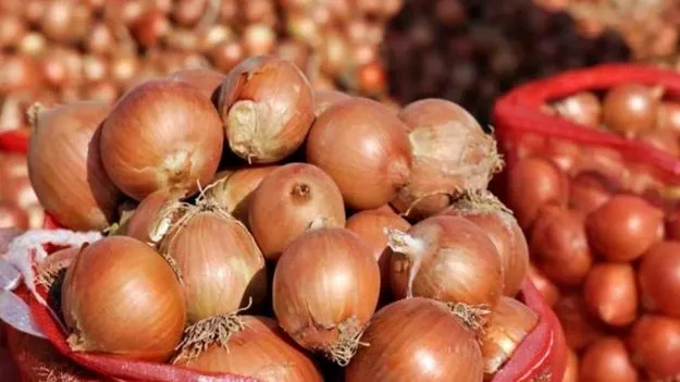 ఉల్లిగడ్డల సేకరణ ధర రూ.15.80కు పెంపు