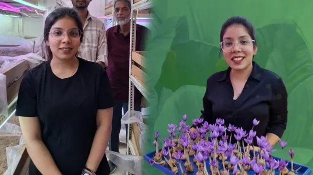 అద్భుతం పండిస్తున్నారు