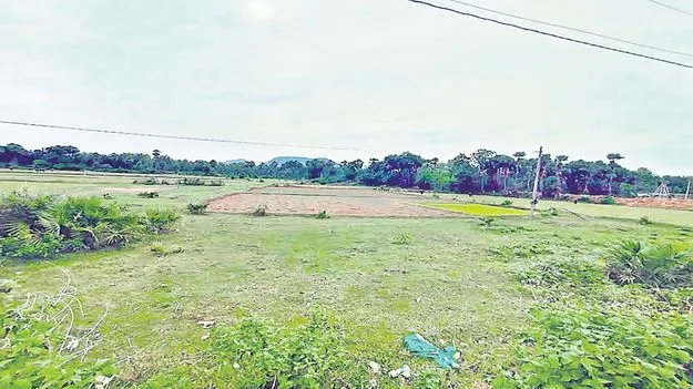 వరి సాగు కష్టమేనా?