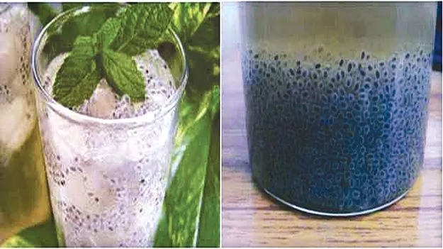    దివ్య ఔషధం  సబ్జా 