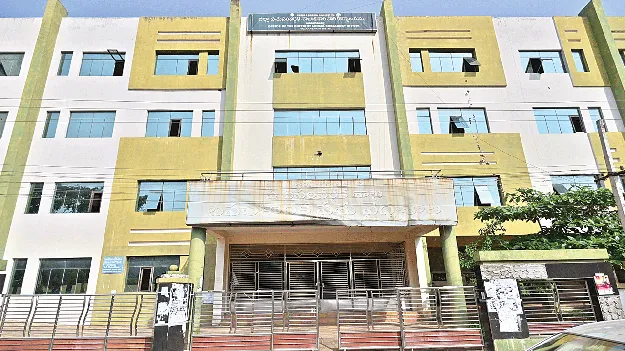  28న గొర్రెల పెంపకందారుల