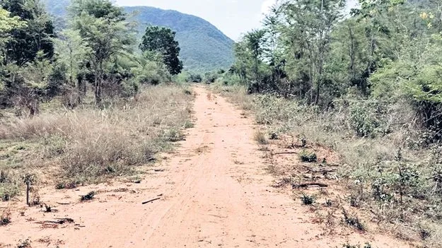 పరిశ్రమలకు రాచమార్గాలు