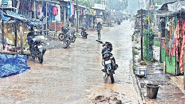 మన్యంలో భారీ వర్షం