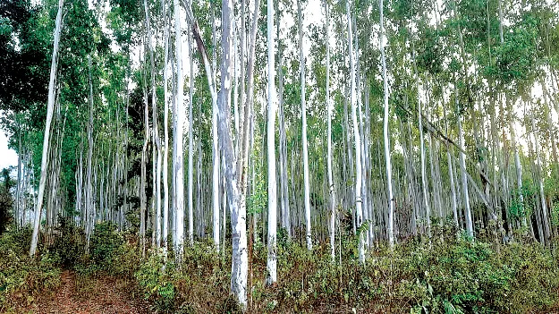 encroachment plane on those 34 acres ఆ 34 ఎకరాలపై   కన్ను