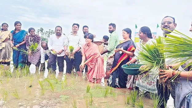 ప్రకృతి సేద్యాన్ని ప్రోత్సహించాలి