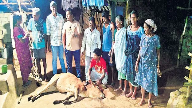 మొట్టలగుమ్మిలో కలకలం