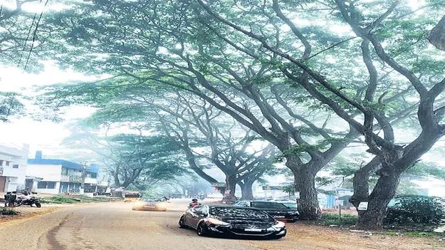 ఉదయం పొగమంచు.. మధ్యాహ్నం ఎండ తీవ్రత