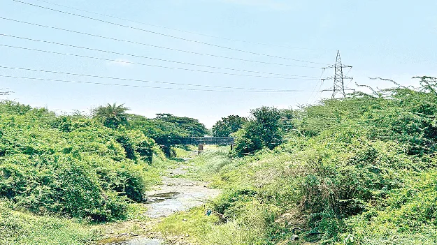 ఇలా ఉంటే నీరెలా?