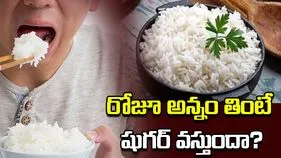 రోజూ అన్నం తింటే మధుమేహం వస్తుందా?