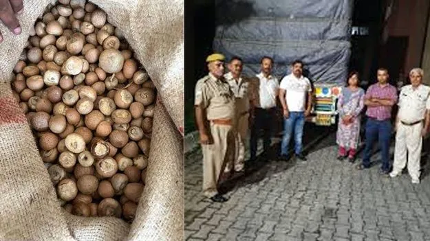 వక్కల దిగుమతి రాకెట్‌ గుట్టు రట్టు