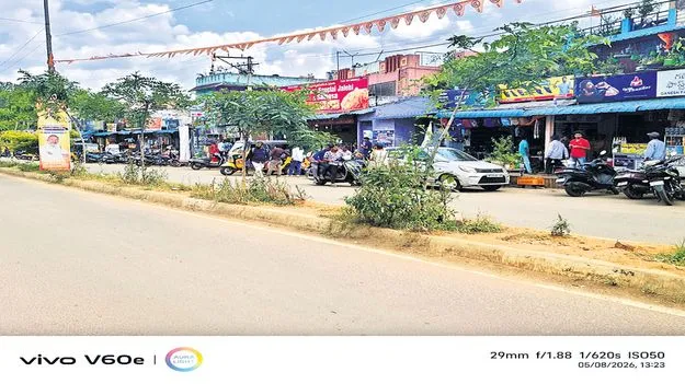 కడియం మొక్కలు మాయం