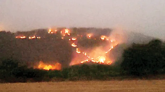 నల్లమలలో కార్చిచ్చు   