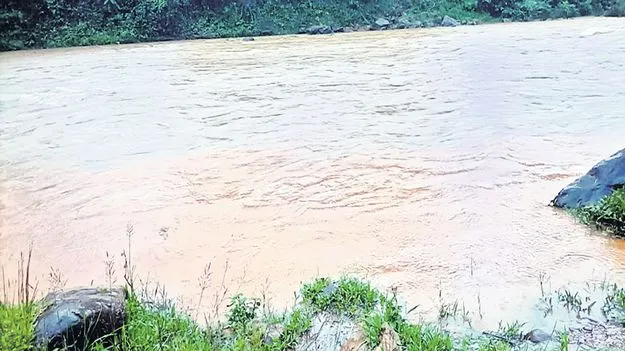 ఏజెన్సీలో వర్షాలు 
