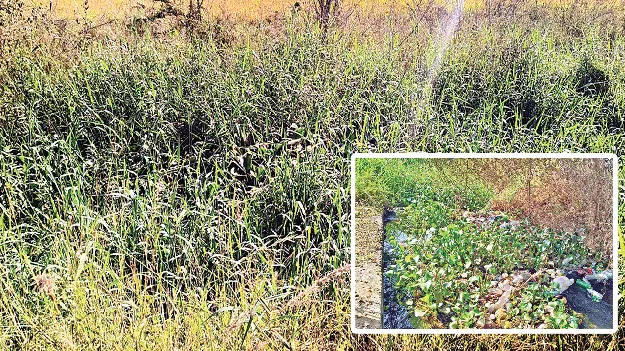 ఇటు’కేసీ’ చూడండి