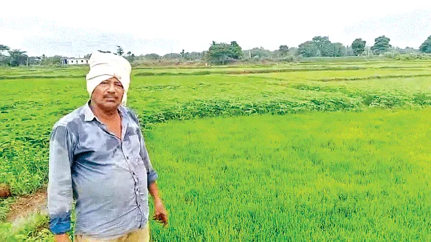 పొలంలోనే తుదిశ్వాస 