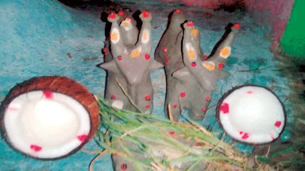 భక్తిశ్రద్ధలతో మట్టెద్దుల అమావాస్య
