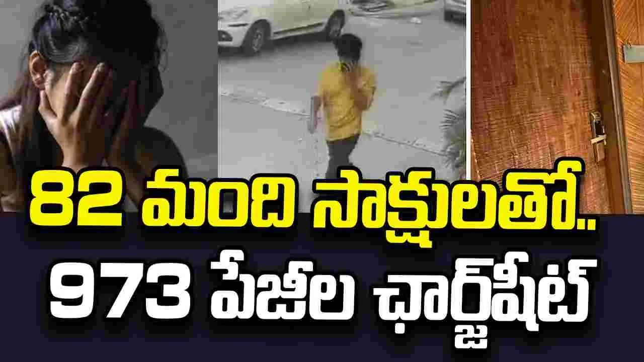 ఢిల్లీ ఐఆర్‌ఎస్ అధికారి కుమార్తె హత్య కేసు.. 973 పేజీల ఛార్జ్‌షీట్ దాఖలు