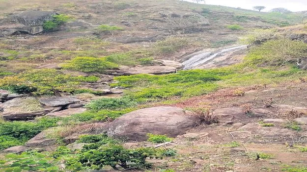 జంబువలసలో విషాద ఛాయలు