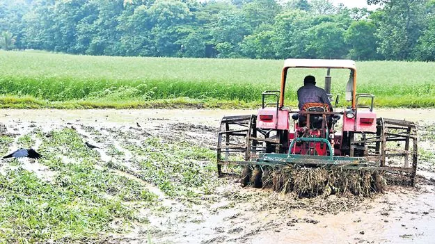 సేంద్రియ సాగుకు పెద్దపీట