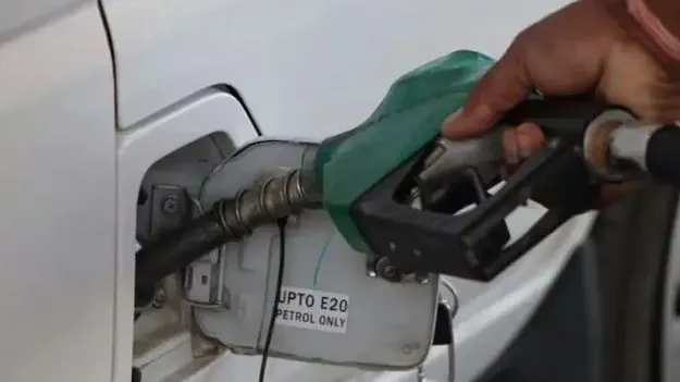 పెట్రోల్‌, డీజిల్‌ ధరలు పెరగవు: కేంద్రం