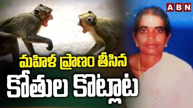 జగిత్యాలలో విషాదం.. మహిళ ప్రాణం తీసిన కోతుల కొట్లాట.. 