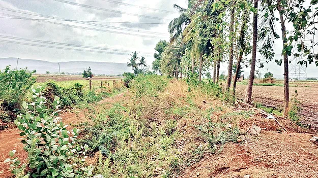 కాలువలు ఇలా.. సాగు ఎలా?