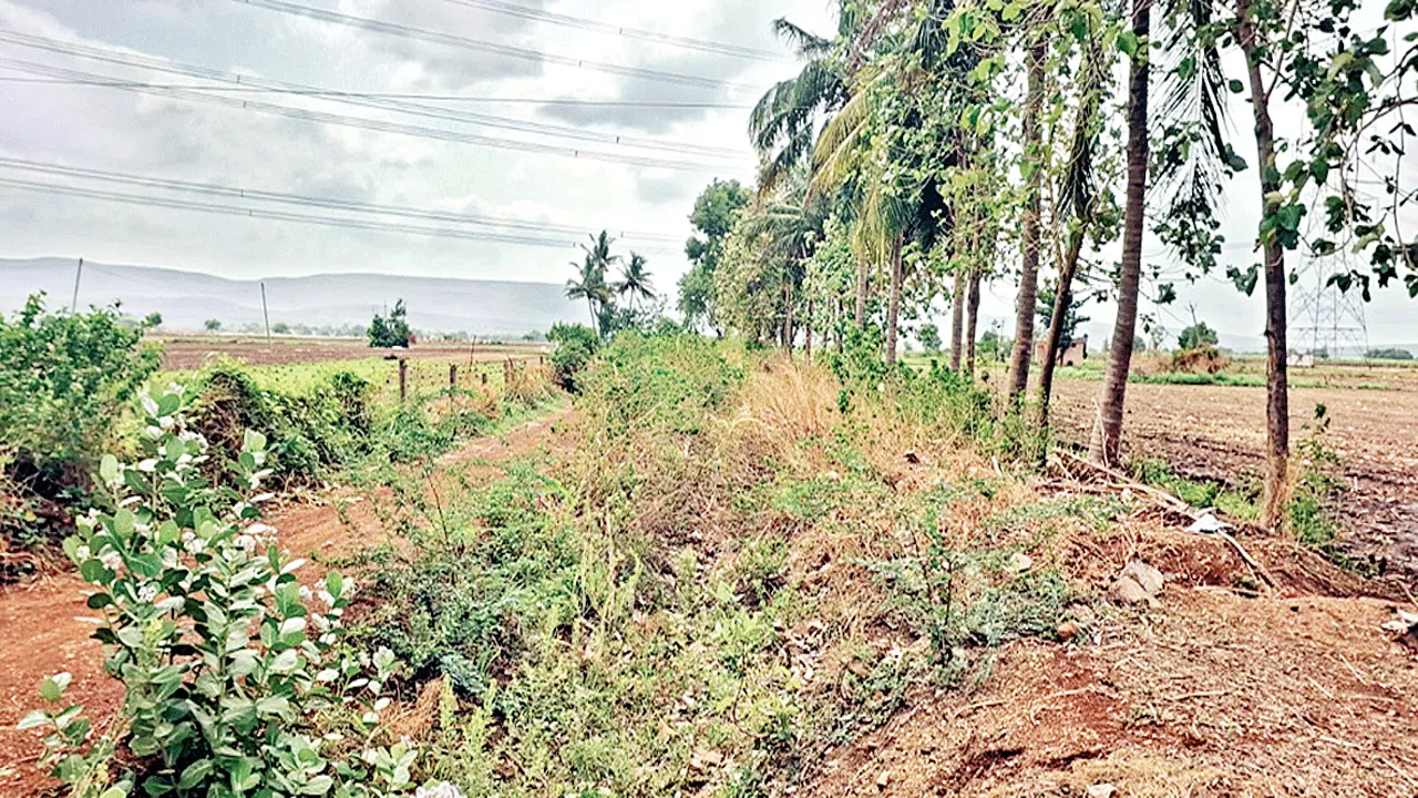 కాలువలు ఇలా.. సాగు ఎలా?