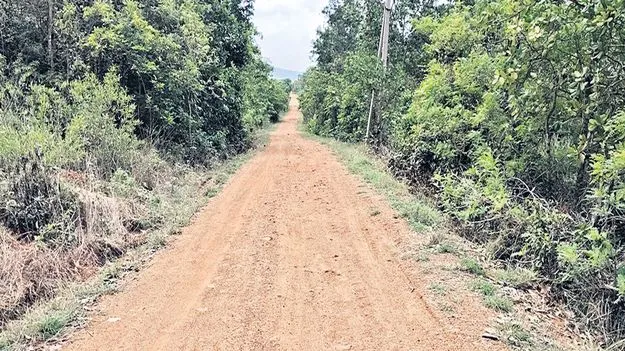 ల్యాండ్‌ బ్యాంకు భూములకు   100 అడుగుల రోడ్డు