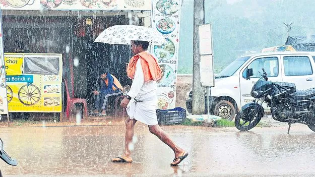 మన్యంలో భారీ వర్షం