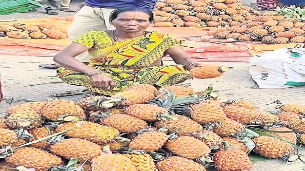 పైనాపిల్‌ ధర పతనం