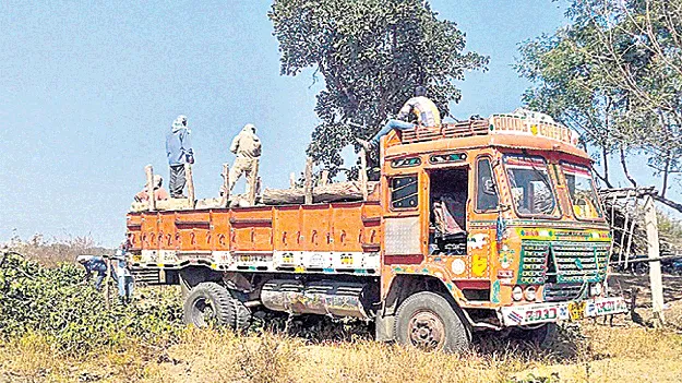 un wanted tree cutting గుట్టుగా తరలించడమే ‘ట్రీ’క్కు