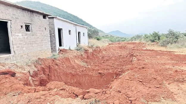 పేదల కాలనీల్లో పందికొక్కులు