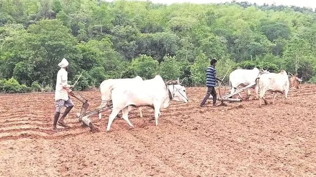 ’’పోడు’’ పట్టాల జారీకి మోక్షమెప్పుడు...?