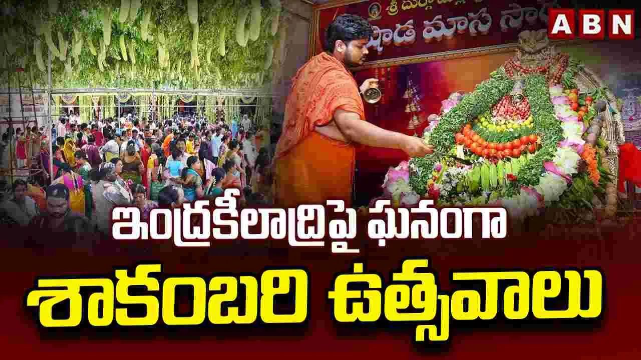ఘనంగా శాకంబరీ ఉత్సవాలు.. వివిధ రకాల పండ్లు, కూరగాయలతో దుర్గమ్మ దర్శనం