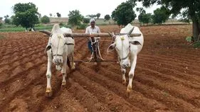 తొలకరికే తొందరొద్దు!