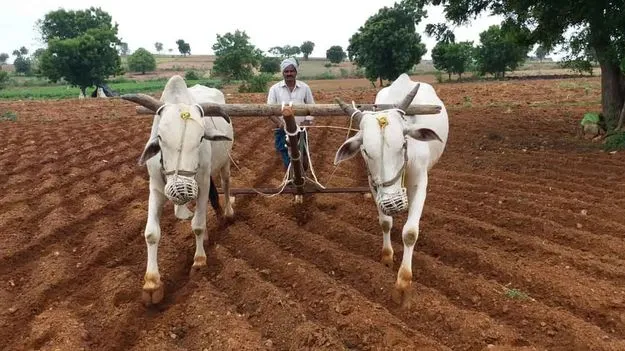 తొలకరికే తొందరొద్దు!