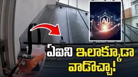 వాడకం అంటే ఇదీ.. ఏఐతో పావురాల బెడదకు చెక్