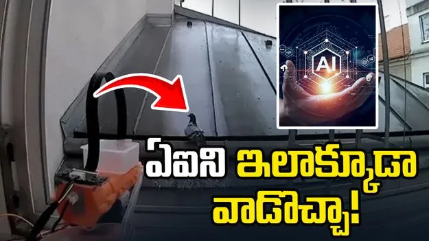 వాడకం అంటే ఇదీ.. ఏఐతో పావురాల బెడదకు చెక్