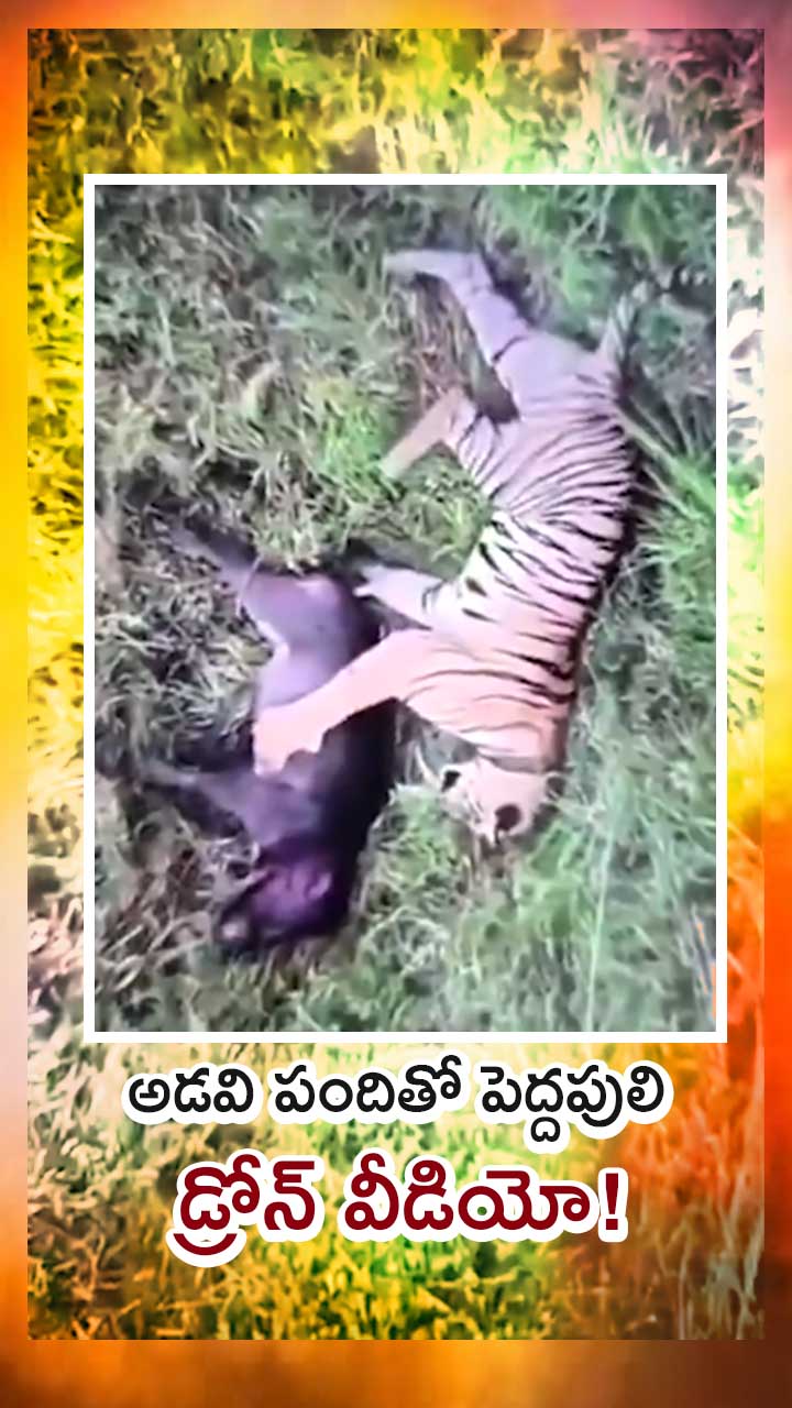 తూర్పుగోదావరి జిల్లా మన్యం అడవుల్లో వింత దృశ్యం