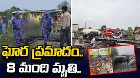 బాణసంచా కర్మాగారంలో భారీ పేలుడు.. 8 మంది మృతి..