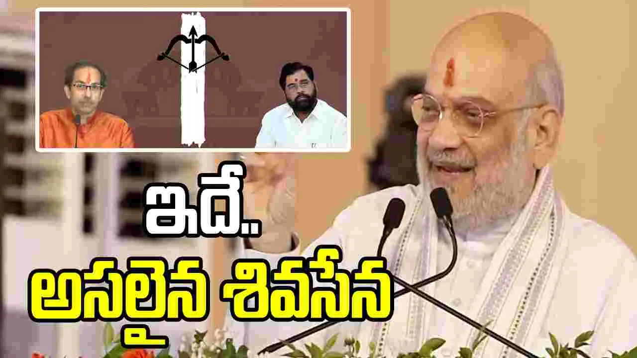 'ఇక గ్రూపులు లేవు.. షిండే నేతృత్వంలోనిదే అసలైన శివసేన': అమిత్ షా సంచలన వ్యాఖ్యలు