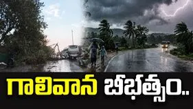 అనకాపల్లి జిల్లాలో గాలివాన బీభత్సం.. ముగ్గురి మృతి..