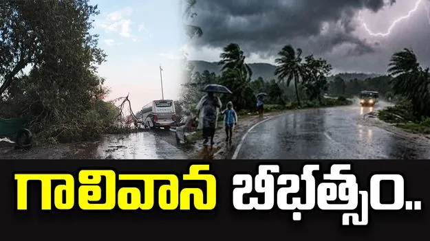 అనకాపల్లి జిల్లాలో గాలివాన బీభత్సం.. ముగ్గురి మృతి..