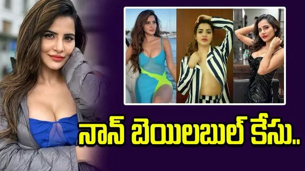 నటి అషురెడ్డి కుటుంబంపై నాన్ బెయిలబుల్ కేసు