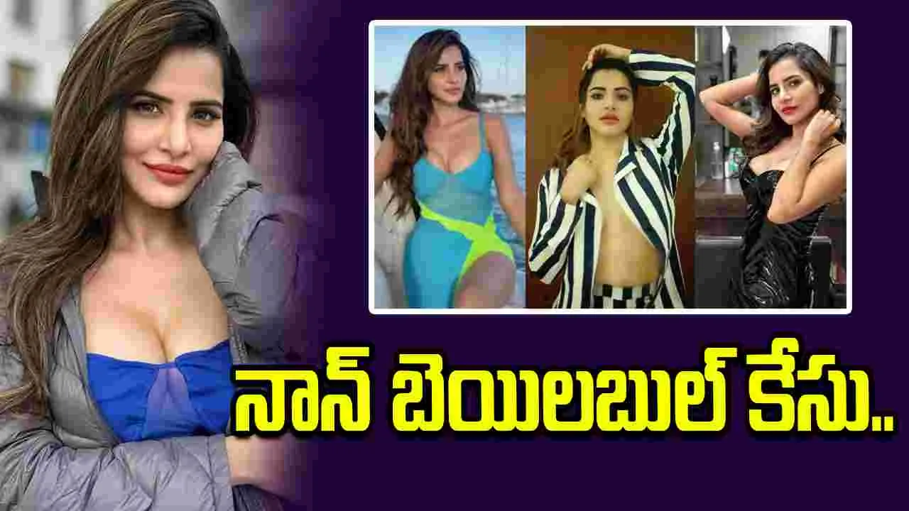 నటి అషురెడ్డి కుటుంబంపై నాన్ బెయిలబుల్ కేసు