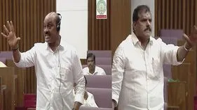 దద్దమ్మ.. ఎద్దు!