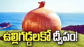 ఉల్లిగడ్డలకో ద్వీపం!