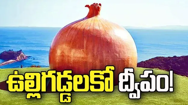 ఉల్లిగడ్డలకో ద్వీపం!