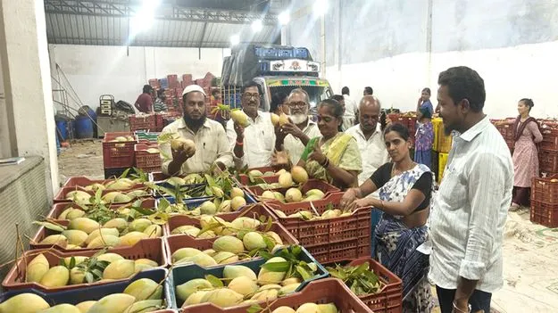 సీజన్‌ చివర్లో.. రికార్డుస్థాయి మామిడి ధరలు 