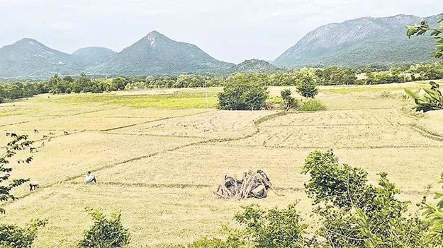 ఎల్‌నినో.. ఎన్నాళ్లనో? 